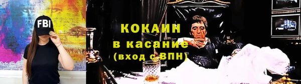 индика Балахна