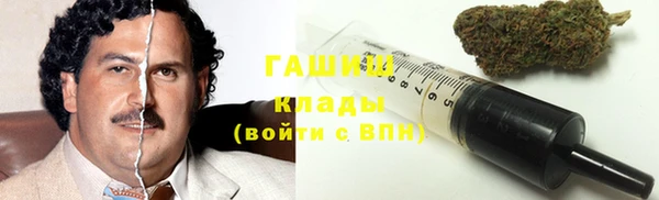 индика Балахна