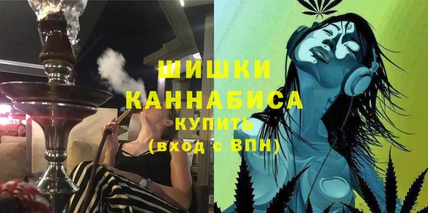 индика Балахна
