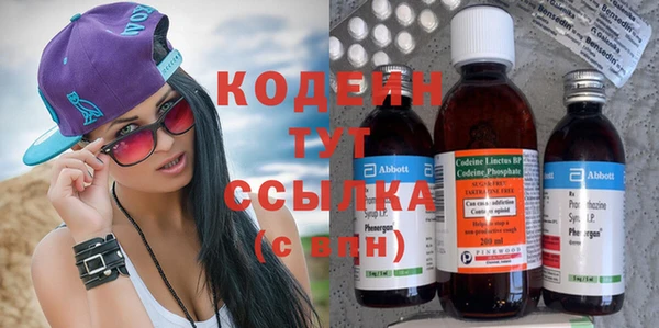 индика Балахна