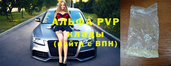 индика Балахна