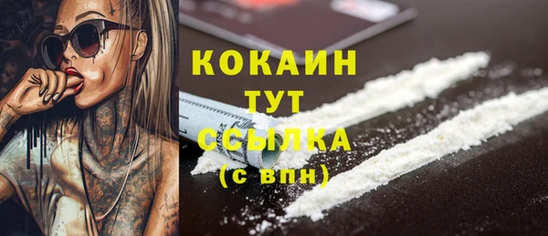 индика Балахна