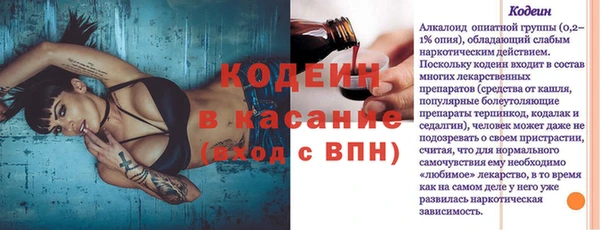 индика Балахна