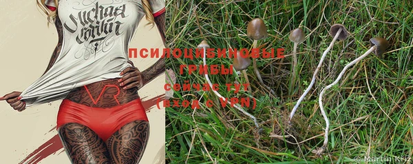 индика Балахна