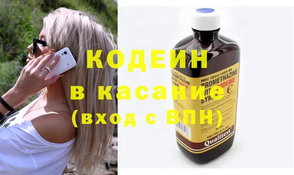 индика Балахна